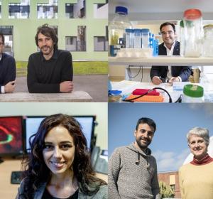 vanguardia-science-award