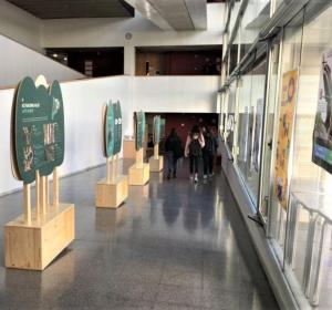 exposició itinerant boscos de ribera