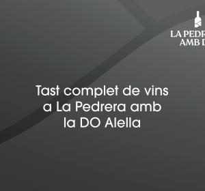 Tast complet de vins amb la DO Alella