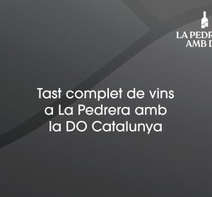 Tast complet de vins amb la DO Catalunya