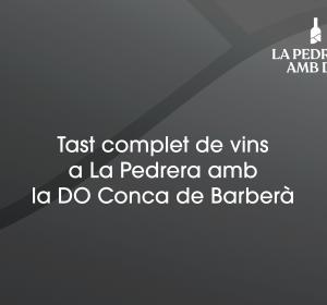 Tast complet de vins amb la DO Conca de Barberà 