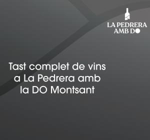 Tast complet de vins amb la DO Montsant
