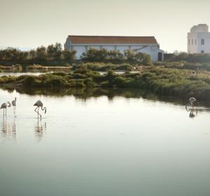 MónNatura Delta de l'Ebre