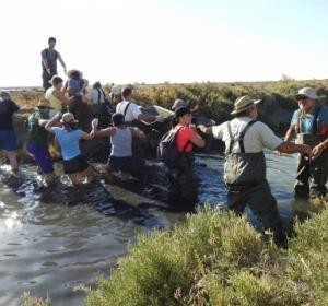 voluntariado ambiental