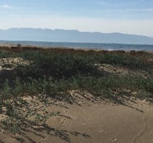 Lo Trabucador, una playa diferente