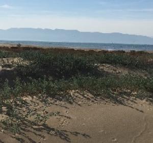 Lo Trabucador, una playa diferente