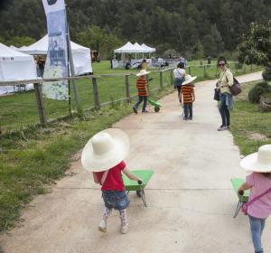 Una inmersión en el huerto