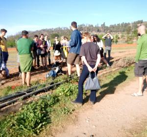 visita universidad danesa a huertos msb