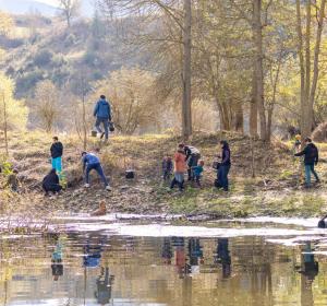 voluntariat basses de gallisa