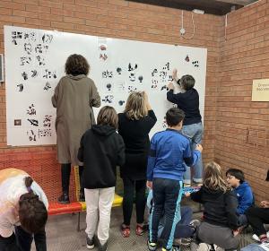 escola pau sans