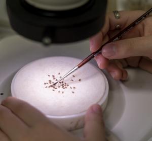 premi vanguardia de la ciencia