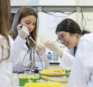 vocacions científiques fundacio catalunya la pedrera