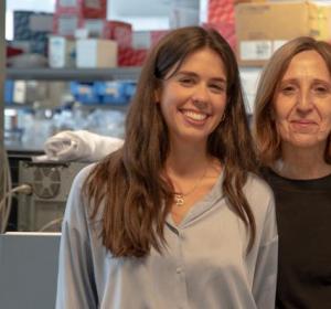 Ana Paredes y Mercedes Ricote, Centro Nacional de Investigaciones Cardiovasculares (CNIC)
