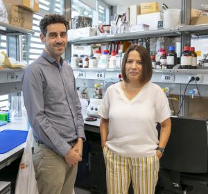 Elena Bosch y Ruben Vicente, Instituto de Biología Evolutiva (IBE: CSIC-UPF) y Universidad Pompeu Fabra.