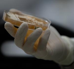 premi lv ciencia