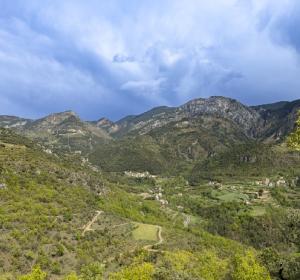 gestion forestal sostenible en alinya
