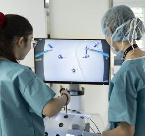 programes científics fclp