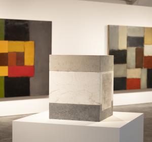 documental-sean-scully