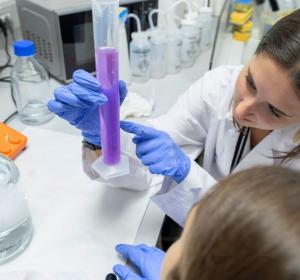 Bojos per la bioenginyeria