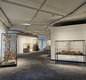 anselm-kiefer-exposicio-pedrera-fclp