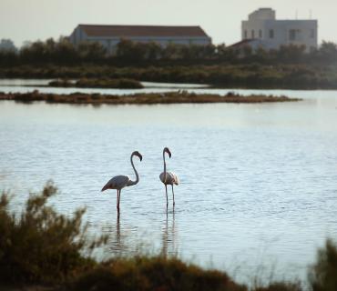 MónNatura Delta de l'Ebre